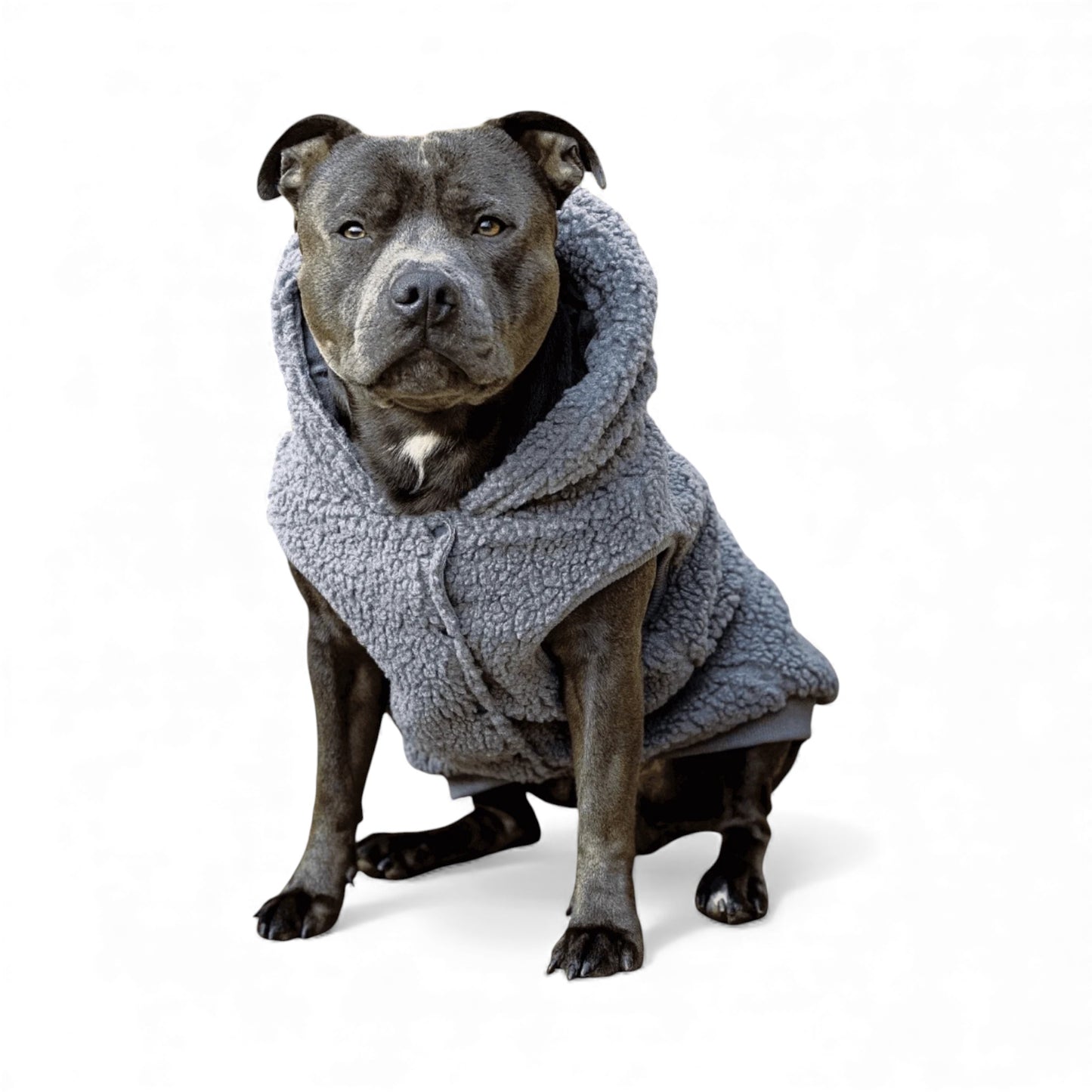 Felpa per cani in peluche Teddy Sherpa grigia