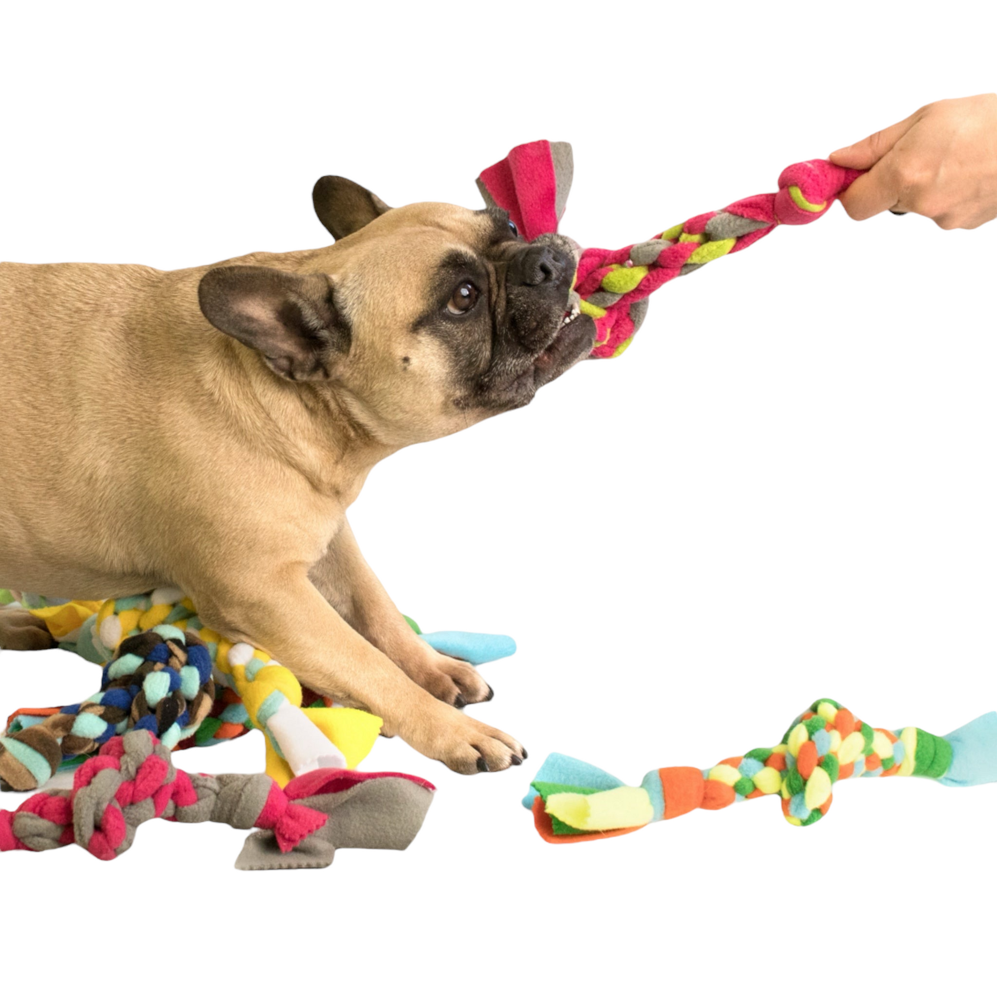 Treccia gioco per cani artigianale colorata