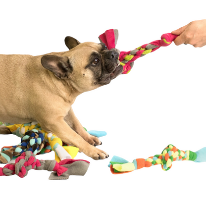 Treccia gioco per cani artigianale colorata