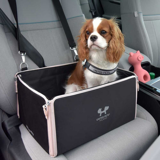 UNITED PET CAR BOX