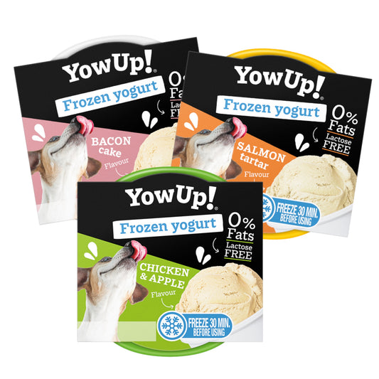 YowUp Frozen Yogurt Dog is Good Online Shop