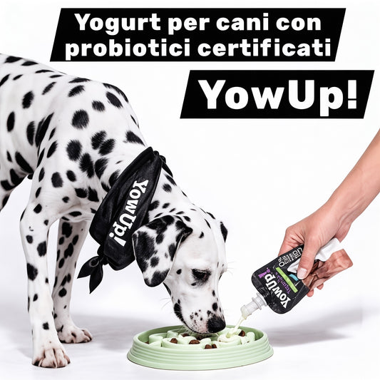 Yogurt per cani con probiotici certificați.