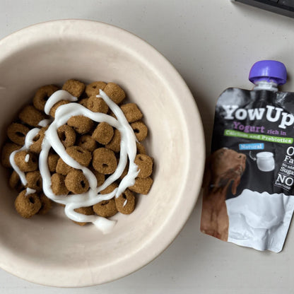 YowUp probiotici per căni.