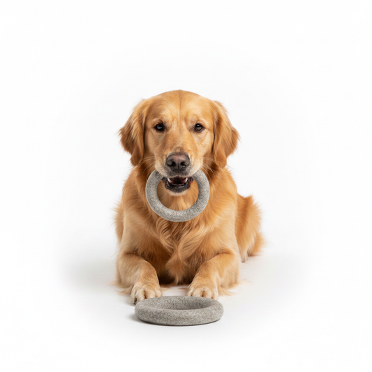 Anello in lana cotta naturale per cani in due misure – gioco artigianale morbido e sostenibile | Pawsome Toy | DOG IS GOOD