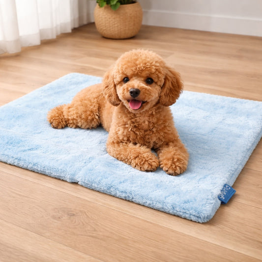 Copertina in pile morbida per cani - Baby Blanket Gloria Pets