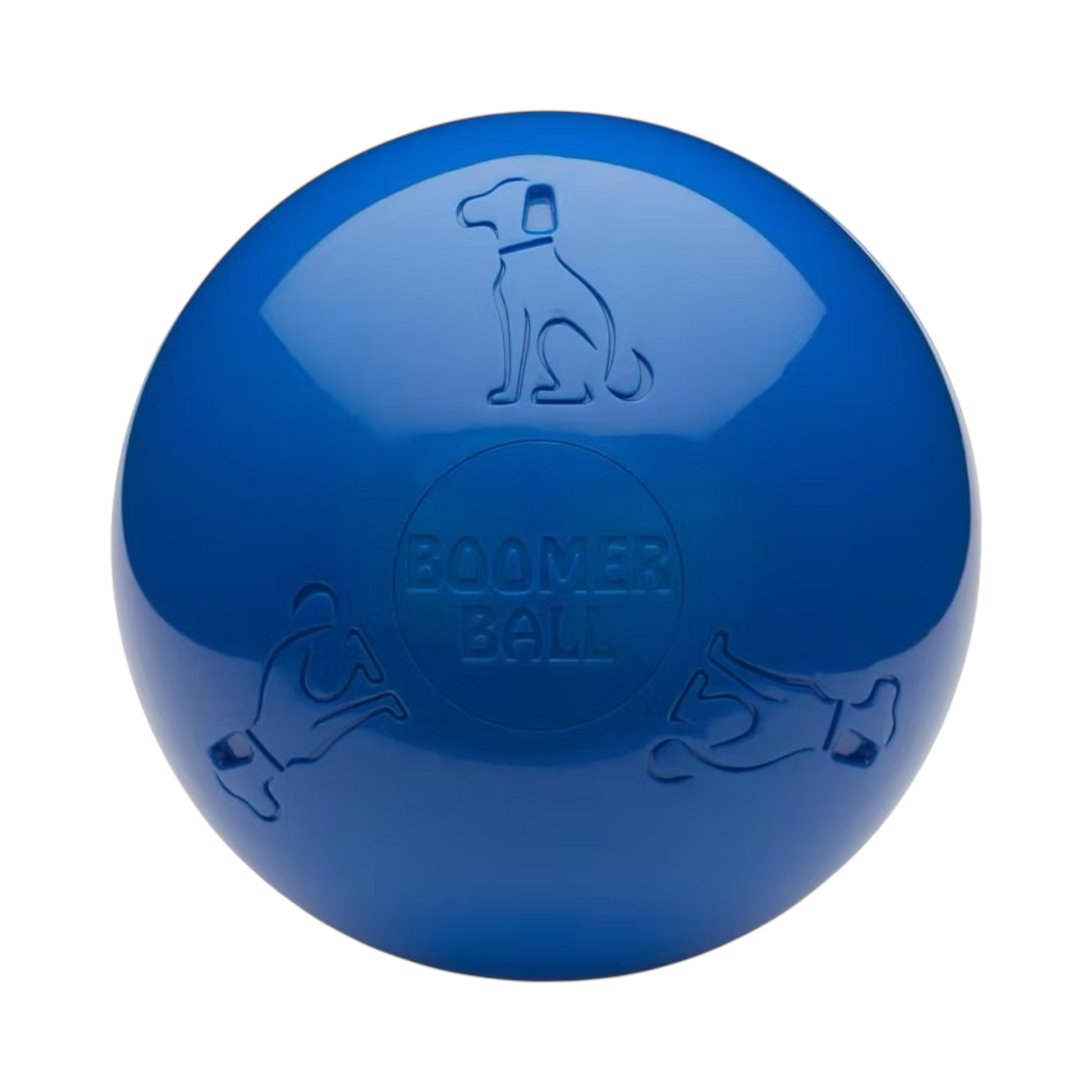 Cane che spinge con le zampe la Boomer Ball palla indistruttibile - The Company of Animals