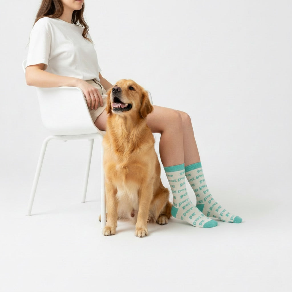 Calze Pet Pwr Pet Lover indossate su sedia con cane accanto – calze ricamate artigianali per amanti dei cani | Pet Pwr | DOG IS GOOD