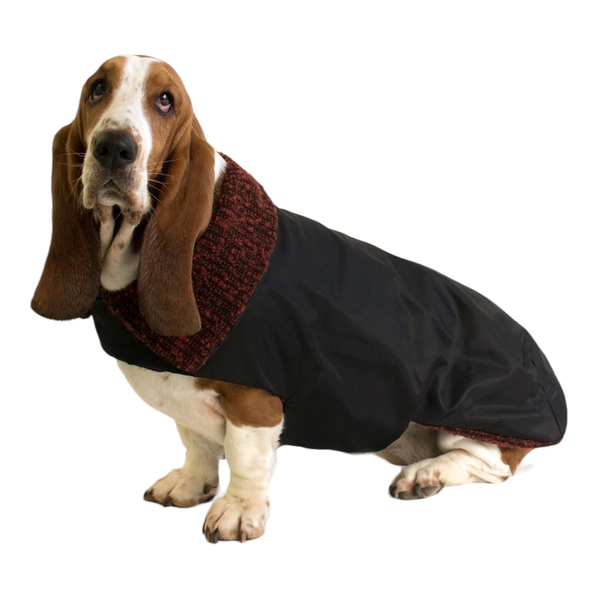 Fodera color ruggine del cappottino impermeabile reversibile - Lussianinda per cani