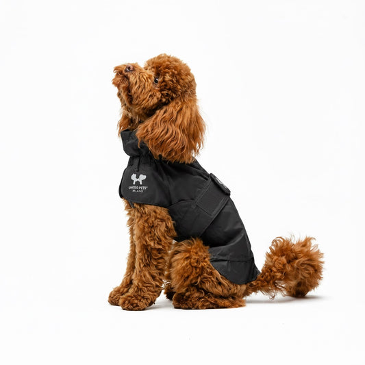EASY RAIN 2026 | IMPERMEABILE LEGGERO