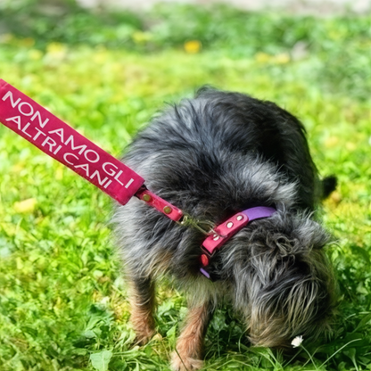 DimmiDog segnale per guinzaglio cane – accessorio artigianale Made in Italy | Amica Veterinaria