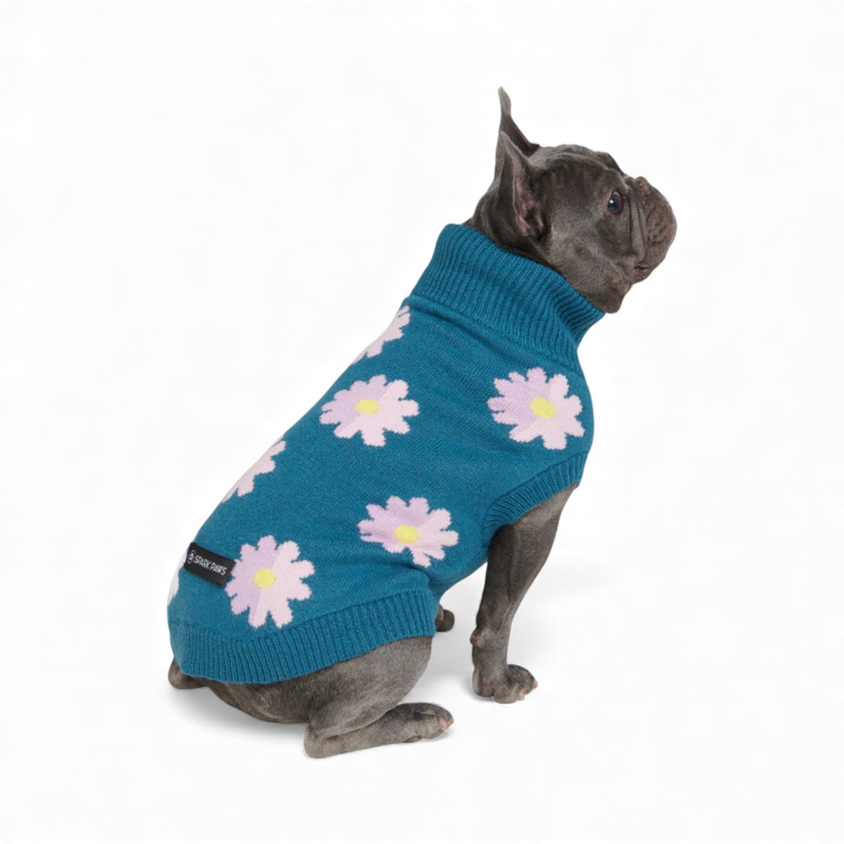 Vista frontale del maglioncino floreale con finiture a coste - Flower Knit Spark Paws