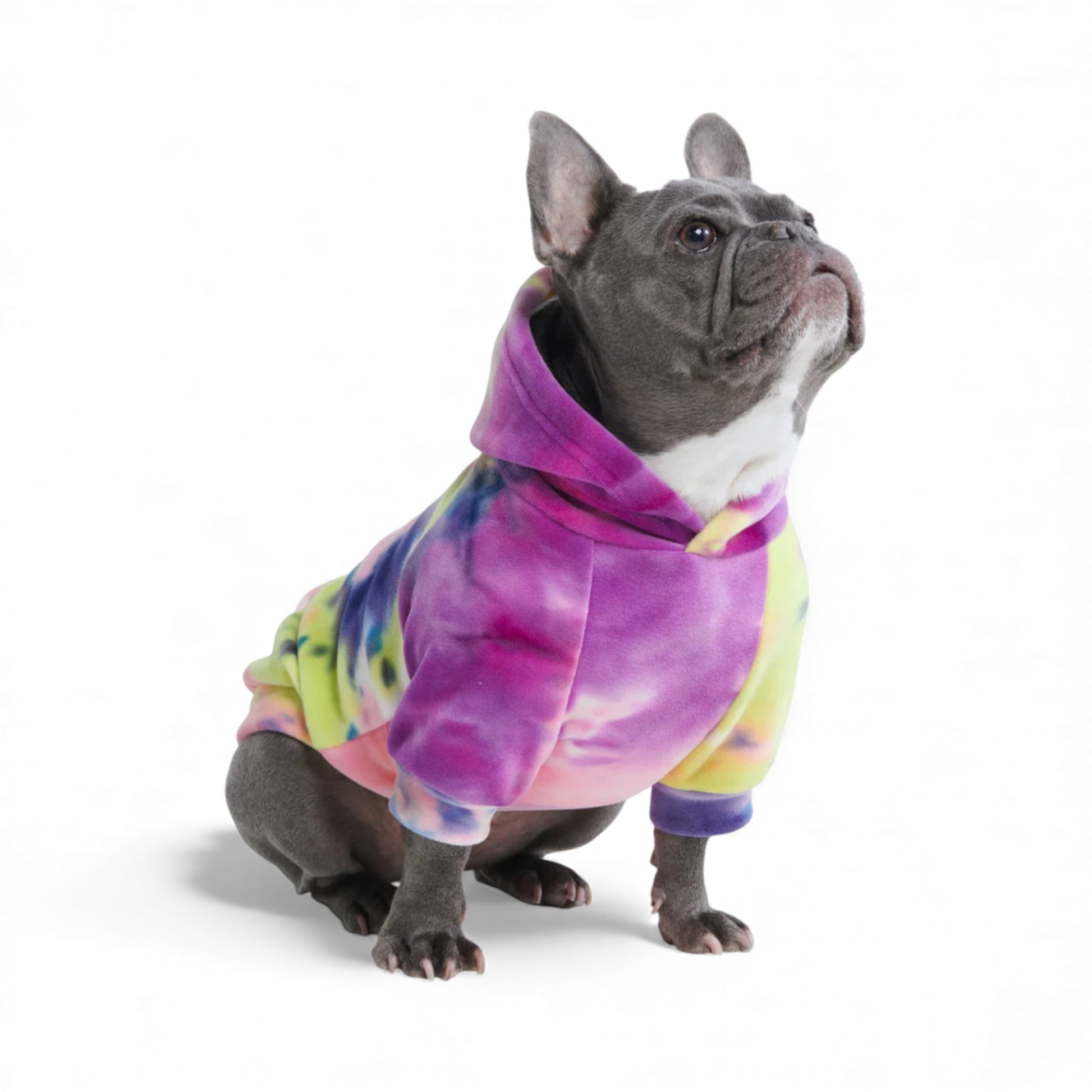 Felpa con cappuccio per cani multhicolore Berry Lemonade