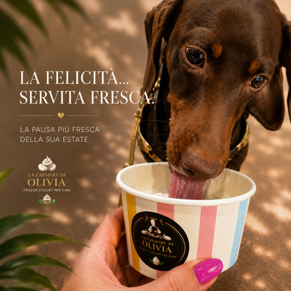 Frozen yogurt per cani Cremery di Olivia – snack estivo senza lattosio con probiotici | DOG IS GOOD