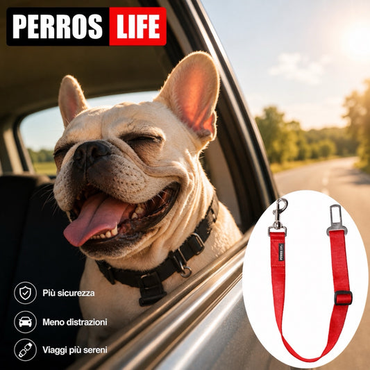 Cane in auto con guinzaglio cintura di sicurezza - guinzaglio auto PERROS LIFE
