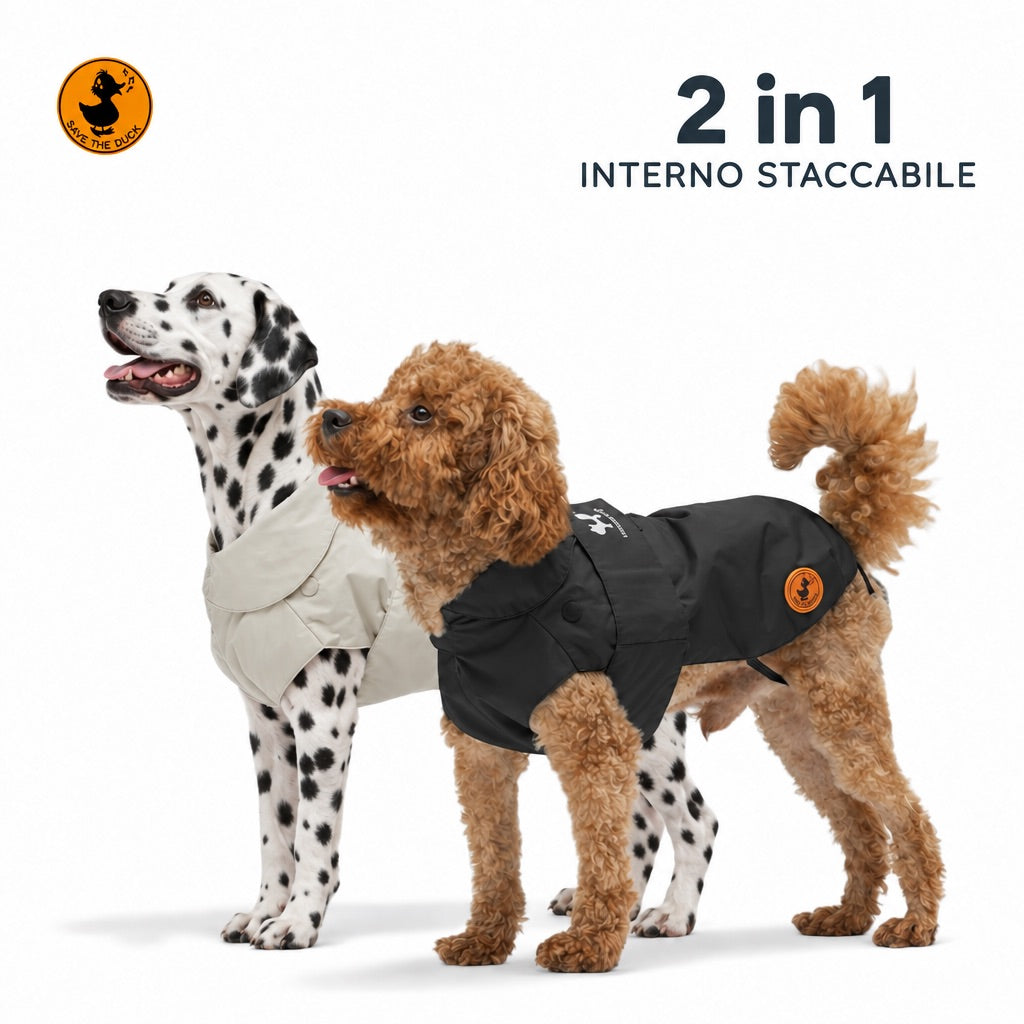 Dalmata adulto con impermeabile chiaro e barboncino con impermeabile scuro Save The Duck 2 in 1, con interno staccabile