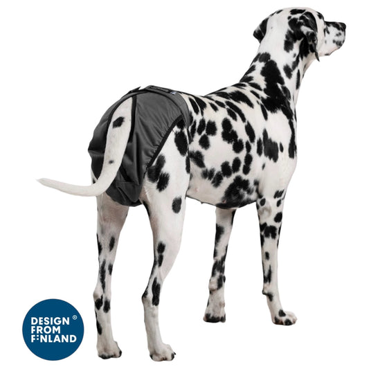 Mutandine igieniche con assorbente per cani in calore