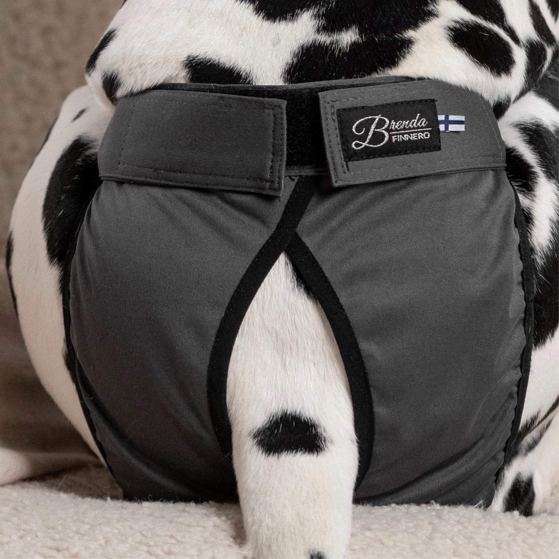 Mutandine igieniche con assorbente per cani in calore Finnero Brenda