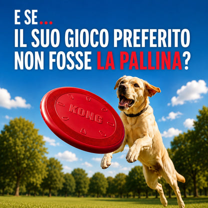 Kong Flyer – frisbee in gomma naturale per cani, ideale per riporto e gioco all'aperto | DOG IS GOOD