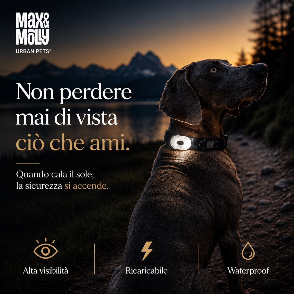 Matrix Ultra LED luce ricaricabile per cane – Max&Molly | DOG IS GOOD