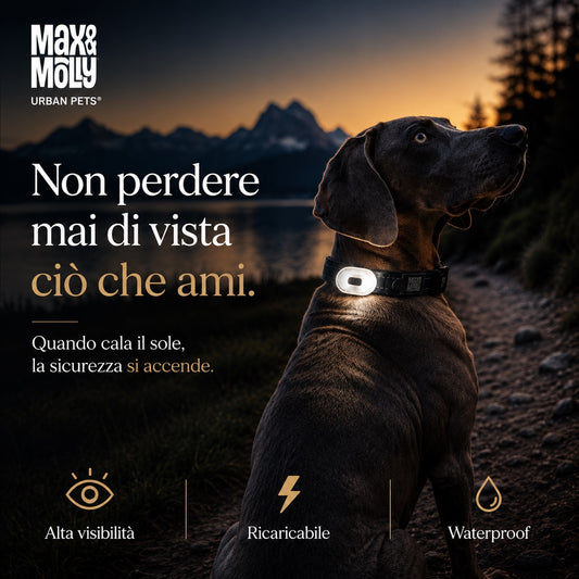 Matrix Ultra LED luce ricaricabile per cane – Max&Molly | DOG IS GOOD