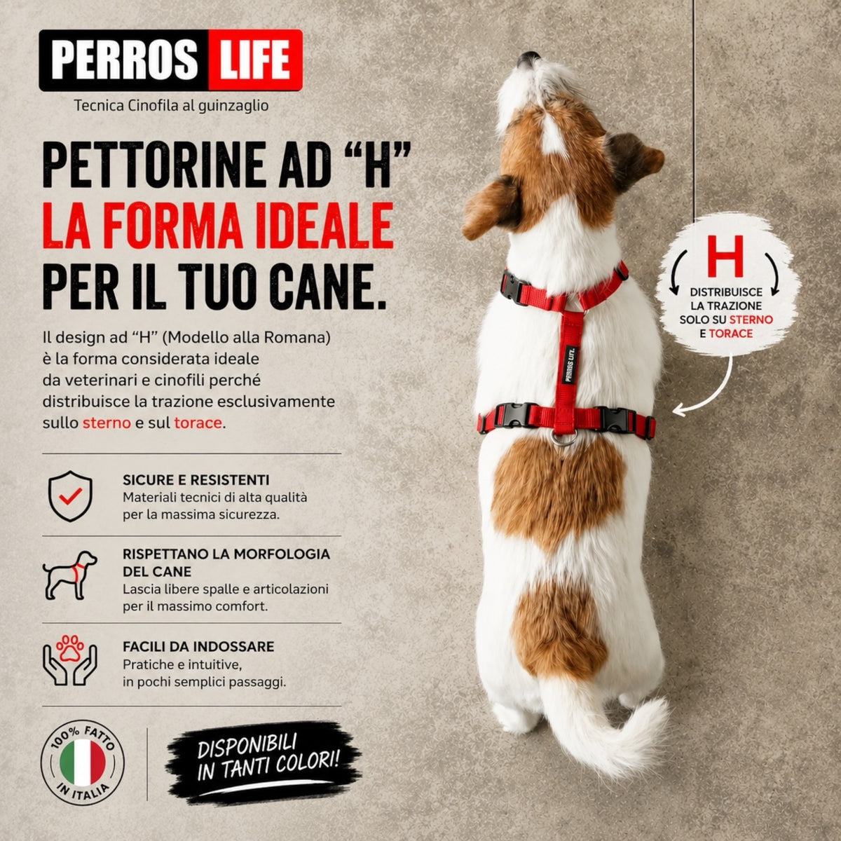 Pettorina regolabile ad H per cani vista generale - pettorina modello romana PERROS LIFE