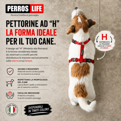 Pettorina regolabile ad H per cani vista generale - pettorina modello romana PERROS LIFE