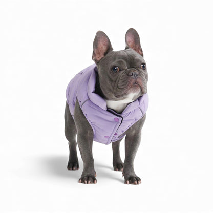 Vista frontale del giubbino impermeabile lilla con bottoni - WarmShield Spark Paws