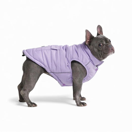 Cane con giubbino impermeabile imbottito lilla - WarmShield Spark Paws
