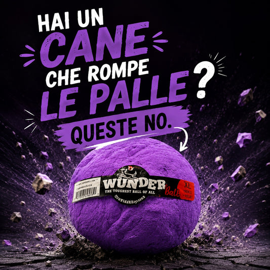 Wunderball pallina indistruttibile per cani, la palla che resiste ai morsi più forti - Wacky