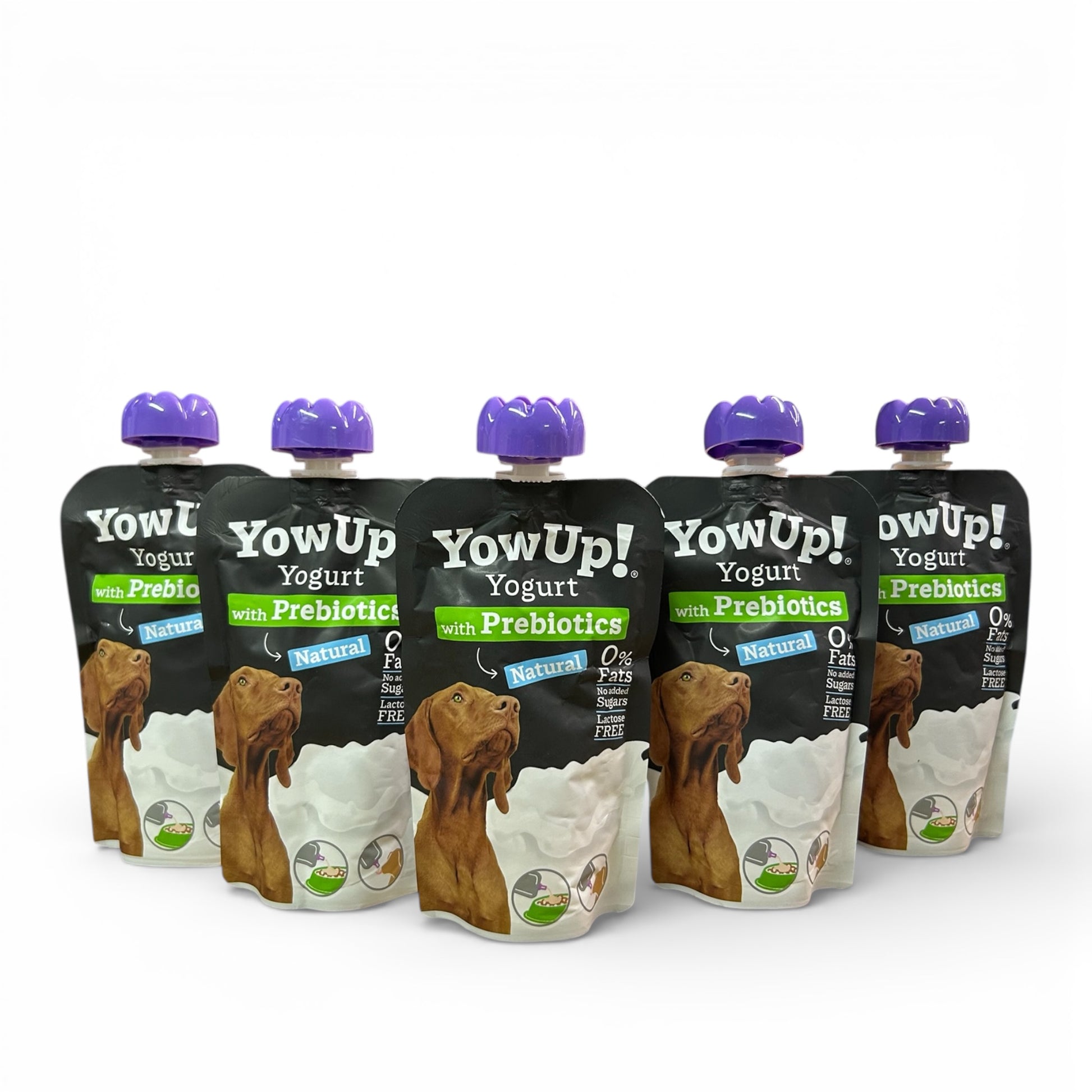 YowUp! yogurt per cani con prebiotici e omega-3 – migliora la digestione e il sistema immunitario del cane, 115g
