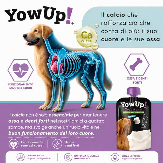 Yogurt naturale per cani con probiotici e collagene, snack portatile per l'avventura - YowUp!