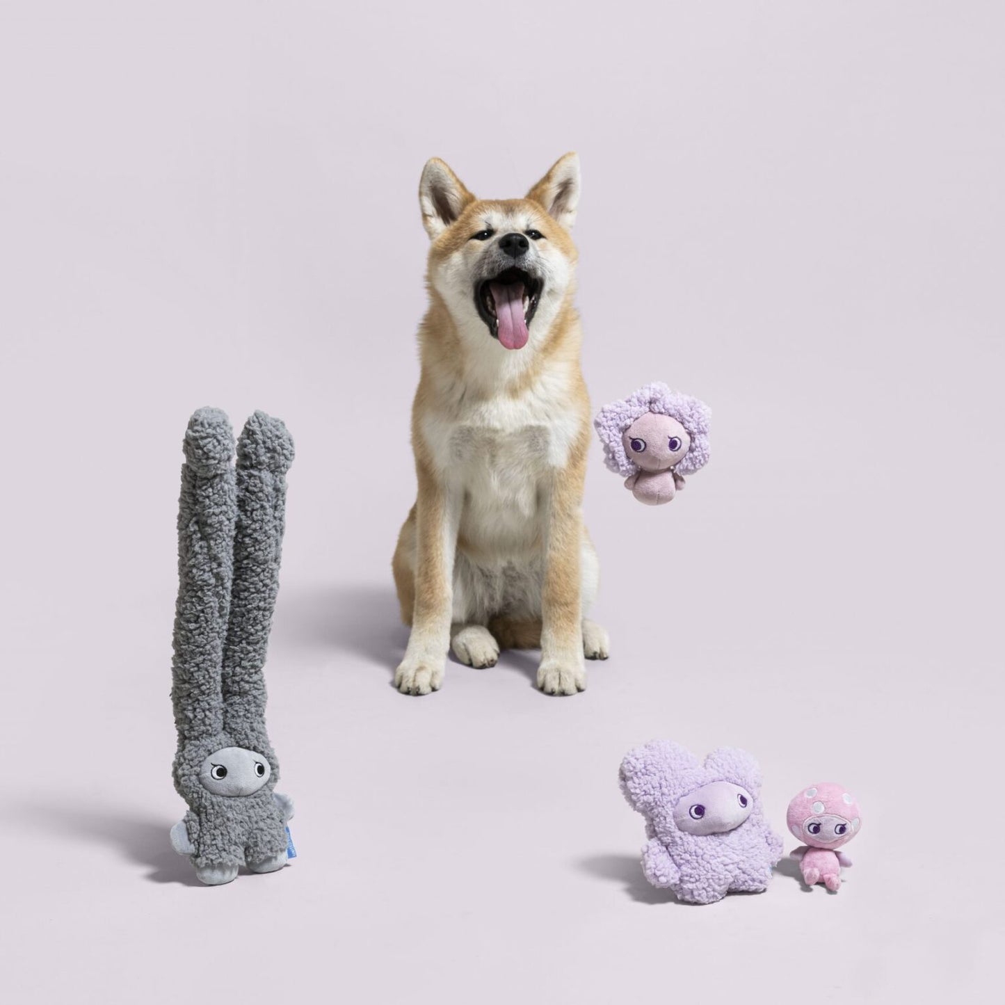 United Pets - Aroma Stories Peluches Per Cani Alle Essenze Calmanti – DOG  IS GOOD Online Shop