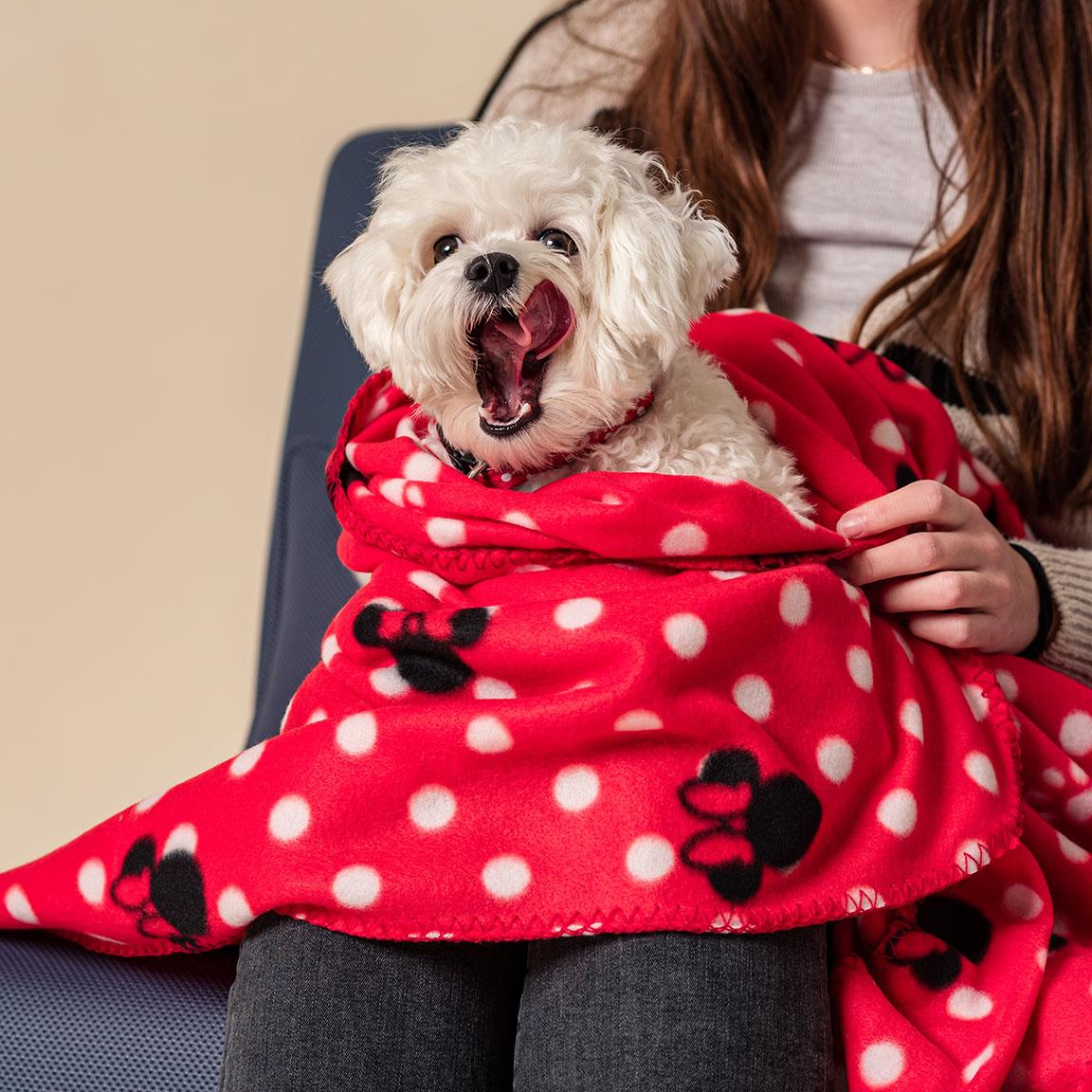For Fan Pets - Coperta Per Cani Disney Minnie – DOG IS GOOD Online