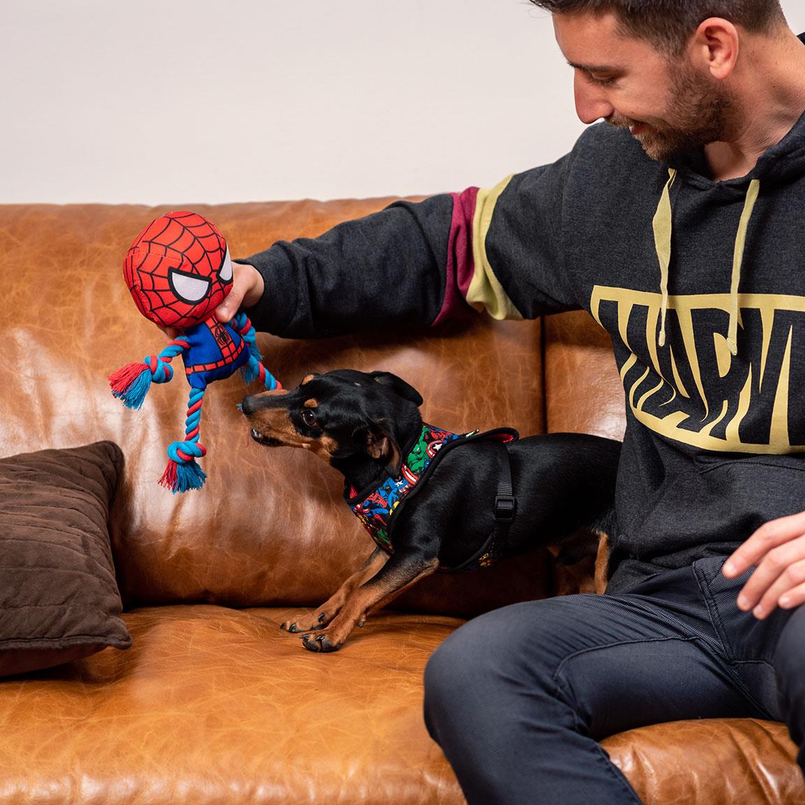 For Fan Pets - Gioco Per Cani Con Corda Marvel Spiderman – DOG IS GOOD  Online Shop