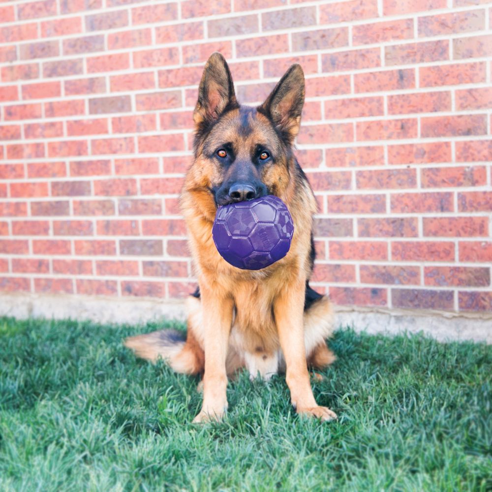 Palla per cani Kong FlexBall viola con cane