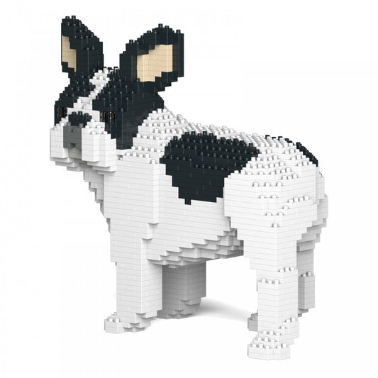 JECKA - BULLDOG FRANCESE - French Bulldog 03S- M04