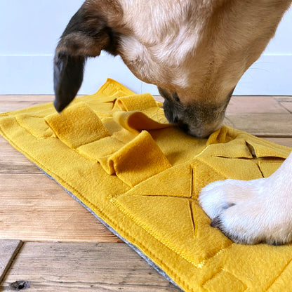 Tappeto olfattivo gioco per cani