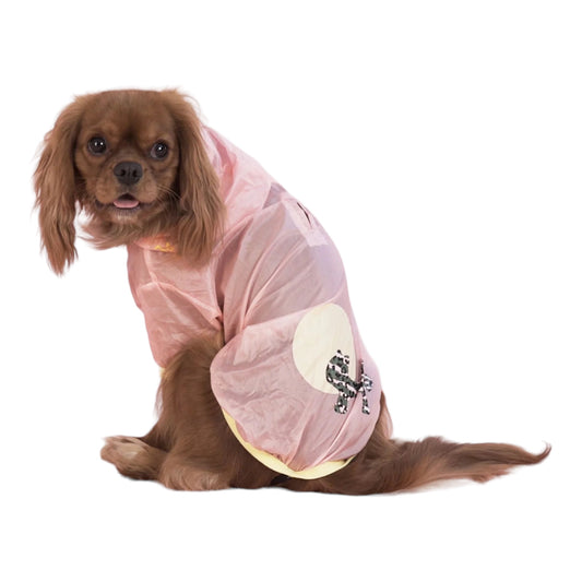 UNITED PETS ACCESSORI PER CANI – tagged #cani – DOG IS GOOD Online Shop