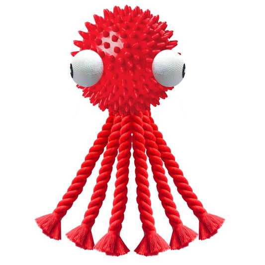 PIEUVRE - Gioco in TPR con corda